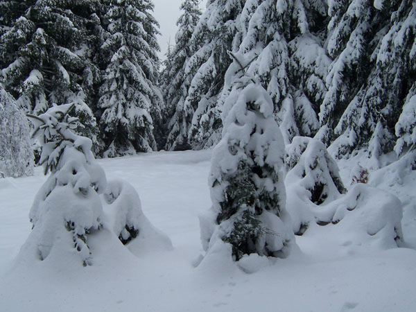 na fotce: sněhu není málo