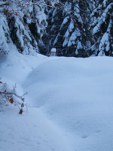 na fotce: na Koníčkovi (850)