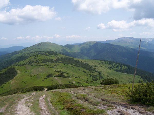 na fotce: ještě jednou: čelééém vzad!