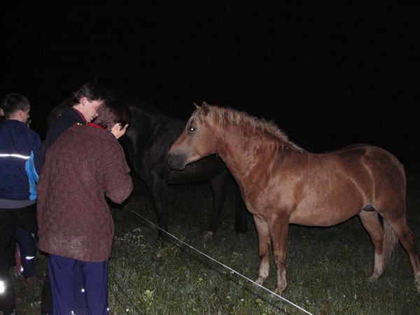 na fotce: když došly steaky, tak se grilovalo kde co