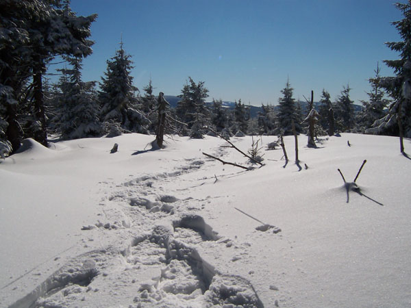 na fotce: tady šel nějakej Yeti
