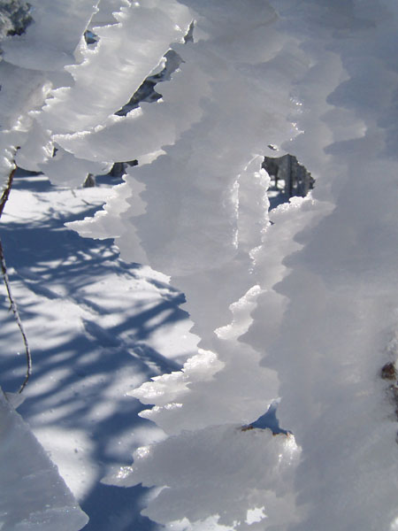 na fotce: detail