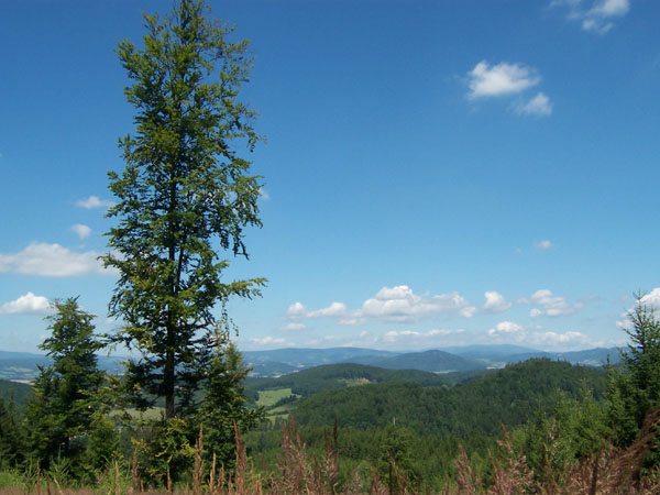na fotce: výhled směrem na Kraličák a Jeseníky někde nad Brníčkem