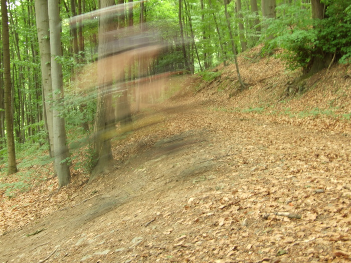 na fotce: šum svistu