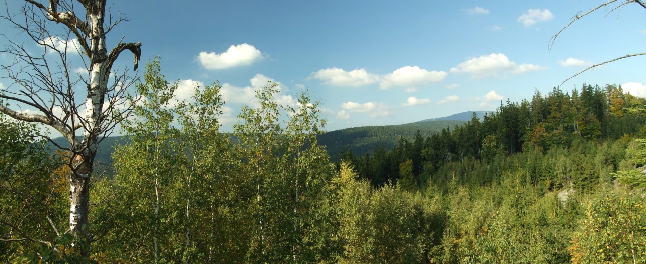 na fotce: panorama (něco pro širokoúhlé monitory)