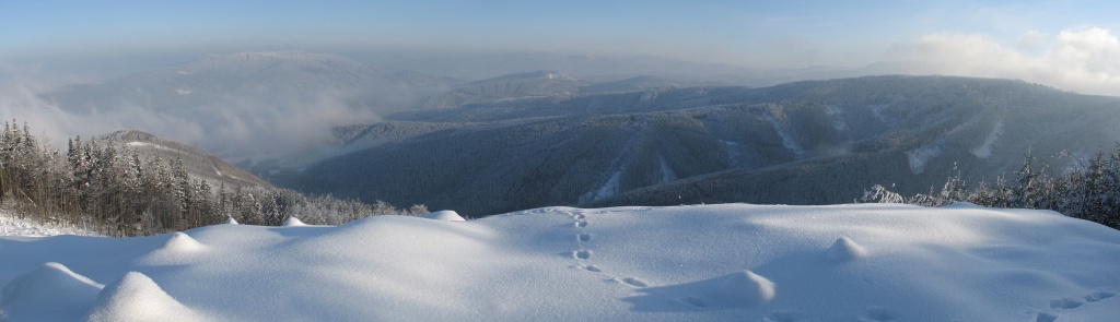 na fotce: 