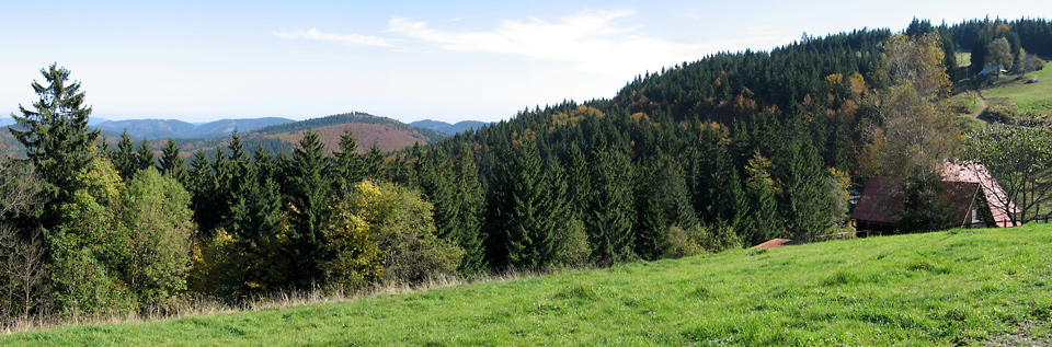na fotce: 