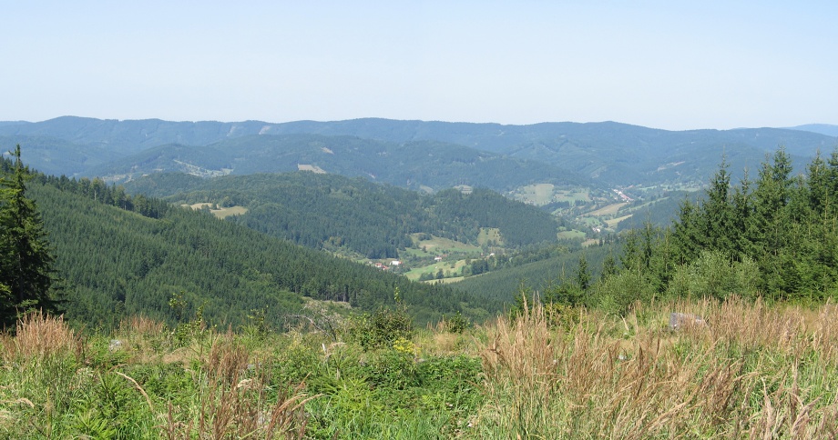 na fotce: 