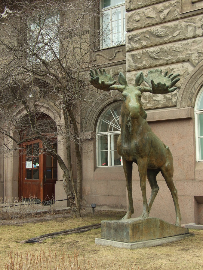 na fotce: přírodopisné muzeum