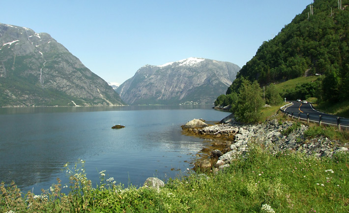 fjordy