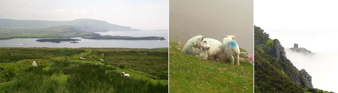 Bray Head