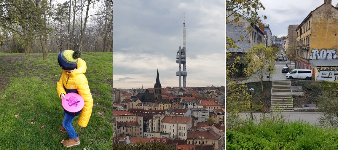 Disc a Žižka